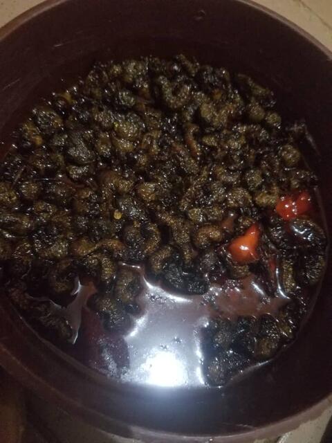 Earth maggot