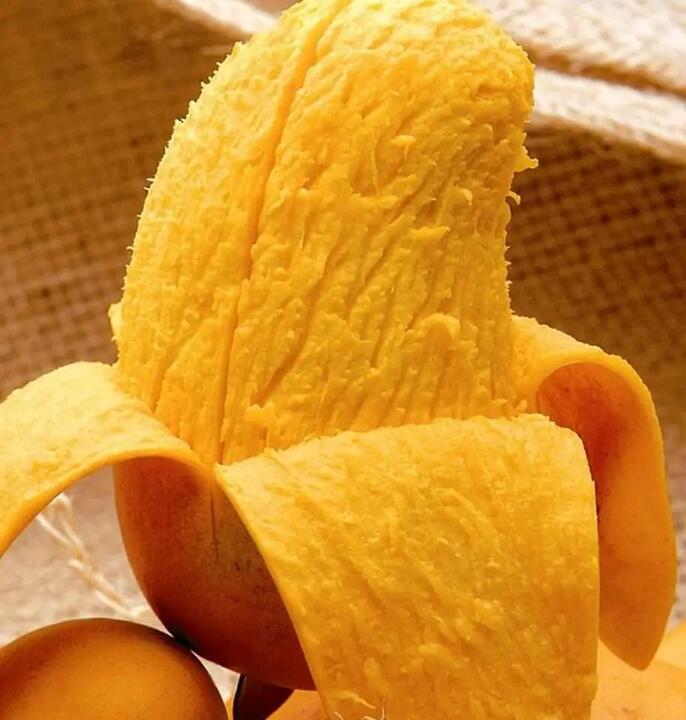 Mangoro Mangoro