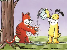 Fimu bee Bwi: Jɛ́ 01b