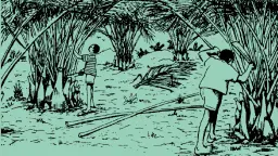 L1-Naaŋ kɛmi bufɛ